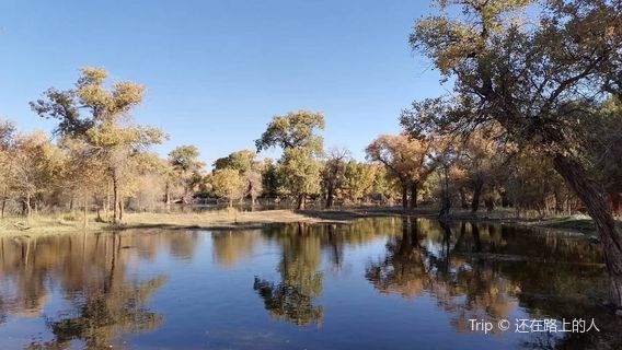 Qidaoqiao Scenic Area