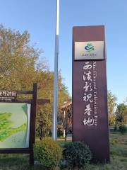 Xixiyingshi Base