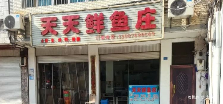 天天鲜鱼庄