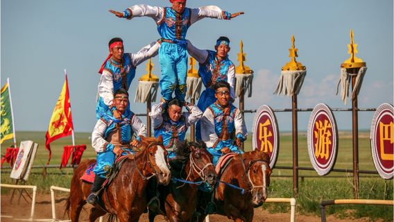 da xing ma shang jing ji biao yan ma zhi wu