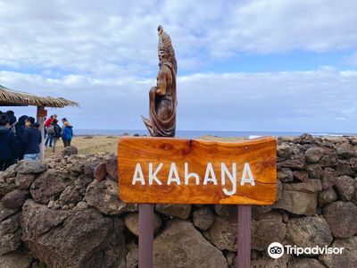 Ahu Akahanga