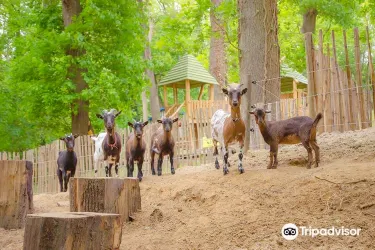 フォルケンブルグ