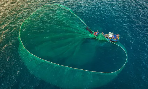 Sea Angling in Nha Trang