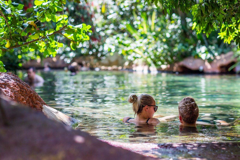 The Lost Spring