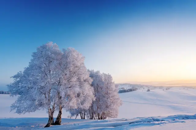 Rime Ice Viewing in Inner Mongolia