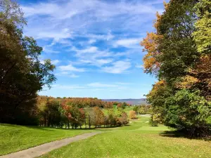 Roscoe Conkling Park