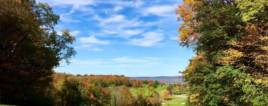 Roscoe Conkling Park