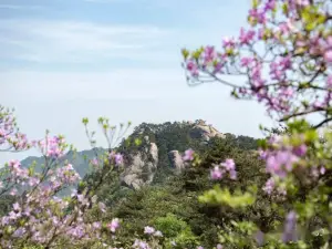 青陽的熱門踏青走春地