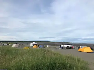 Kasilof River Special Use Area