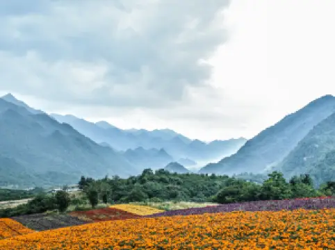 พื้นที่ท่องเที่ยวฮงชิบะ