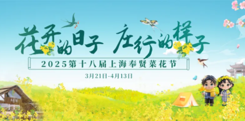 Shanghai Fengxian Rapeseed Flower Festival | hua mi zhuang xing jing qu
