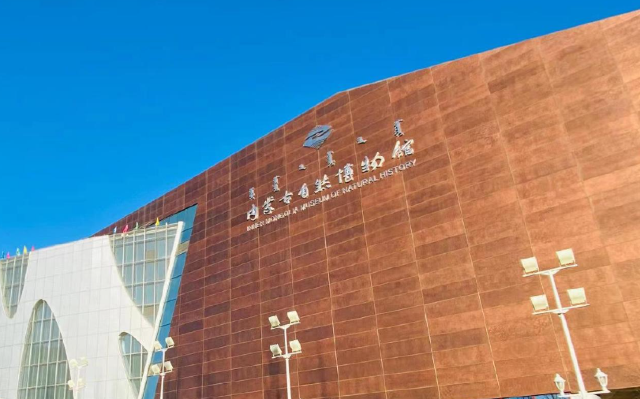 《大鯨・小怪》專題展 | 內蒙古自然博物館