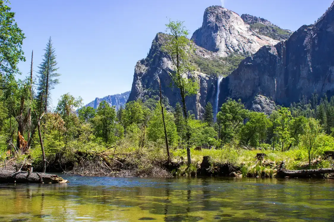 Hotels near Yosemite Village