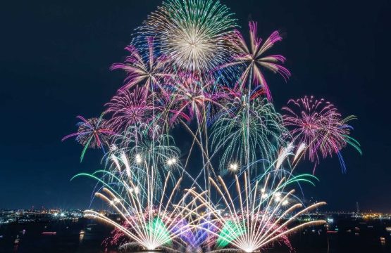 Sakurajima and Art Fireworks | Kagoshima