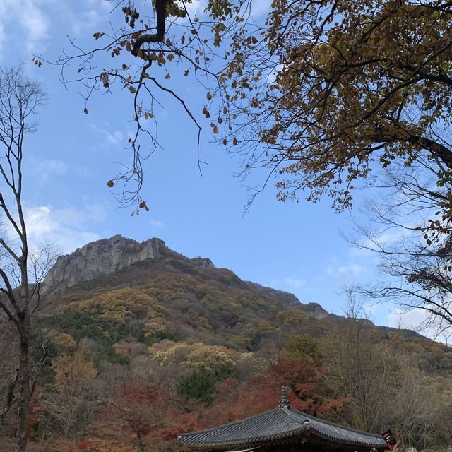 자연 속에서 힐링하기, 장성 여행