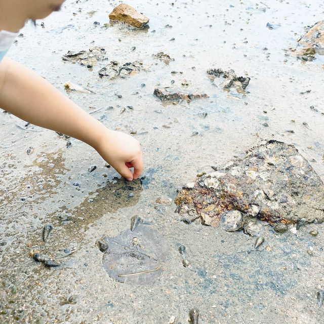第一次參加南丫島親子團(下)