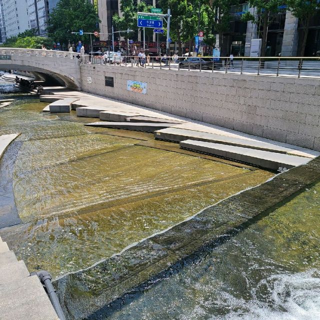 광화문에서 점심먹고 청계천 산책!