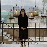 경주 여행 필수 카페 - 벤자마스 