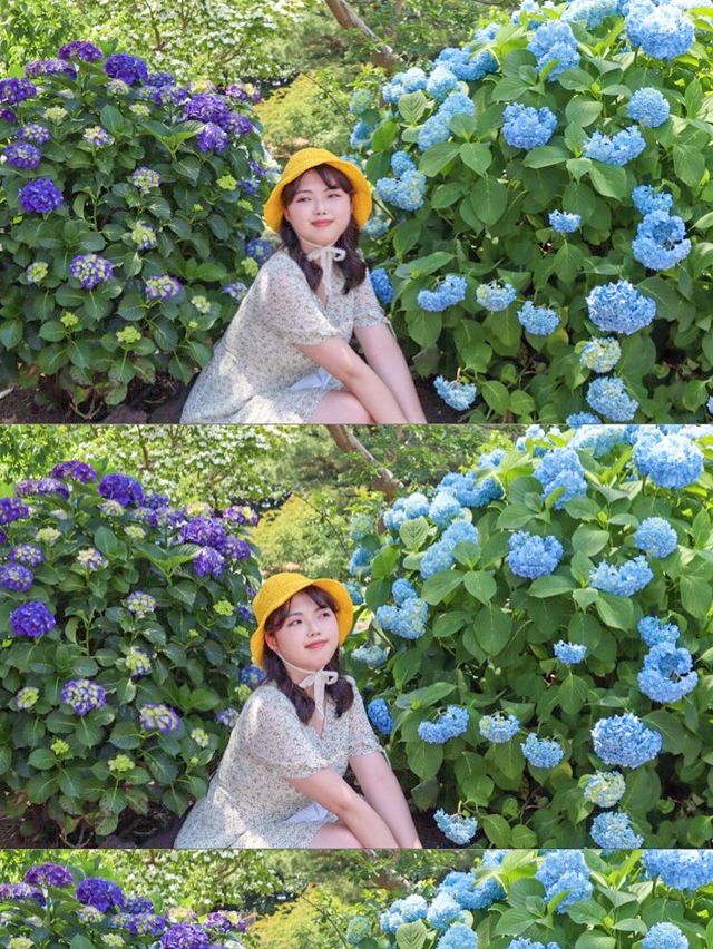 이맘 때 딱 제주