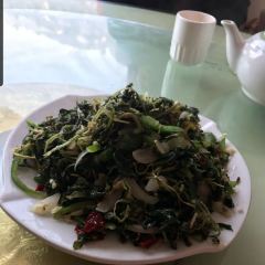 CHA YA SHAN SHAN YA JU NONG GU FAN User Photo