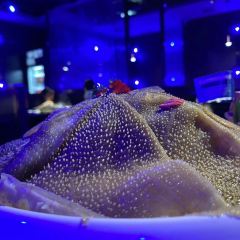 Xiangbala Hotpot User Photo