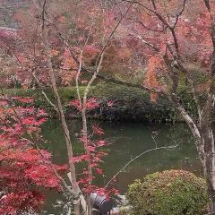 CLUB METRO User Photo