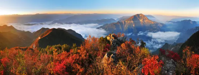 Fall Foliage Sightseeing in Wushan County
