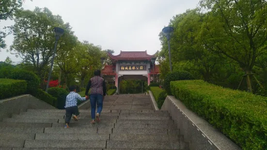 梅城森林公園