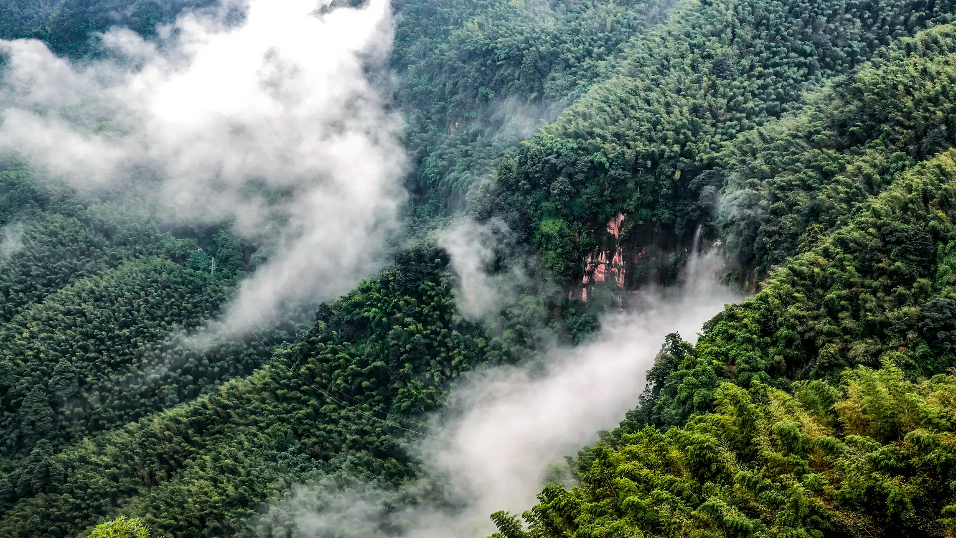 Hotels near Wangyou Valley