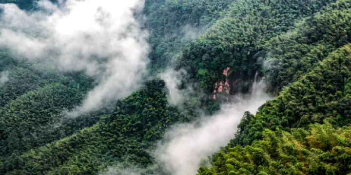 蜀南竹海風景名勝區-忘憂谷