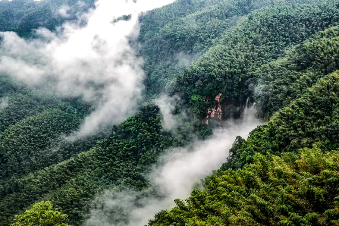 Hotels near Wangyou Valley