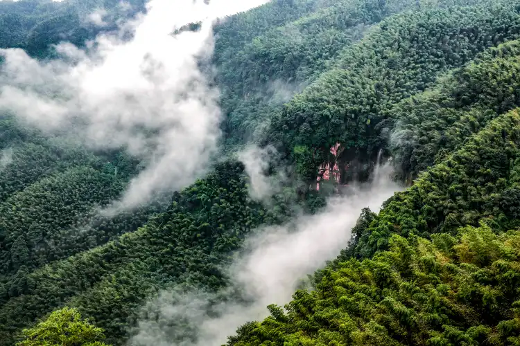Hotels near Wangyou Valley