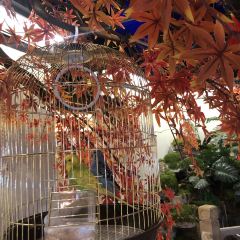 孙掌勺鱼头泡饼(怀特店) User Photo