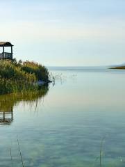 Wetland Park