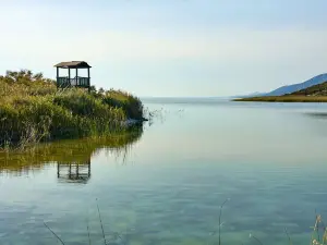Wetland Park