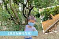 【親親馬騮 | 輕鬆遊】#城門水塘