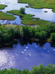 Sanjiang Wetland Park