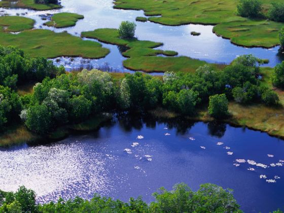 Sanjiang Wetland Park