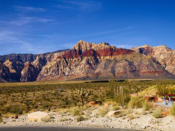 Red Rock Canyon National Conservation Area