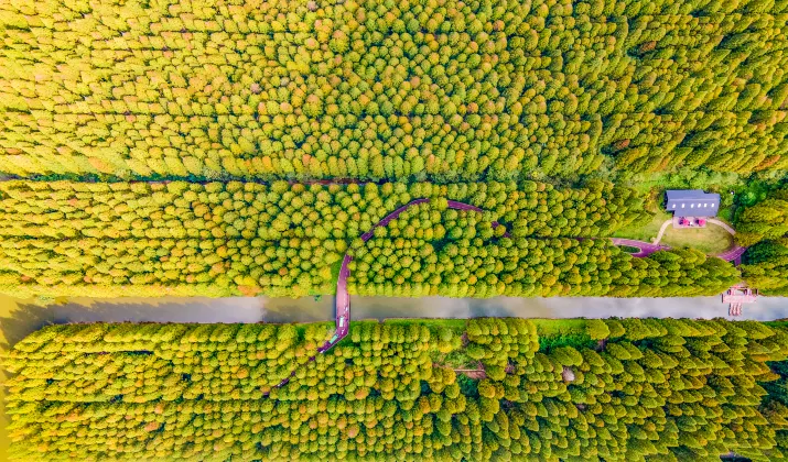 Отели с услугой Трансфер в/из аэропорта в г. Лумэнь