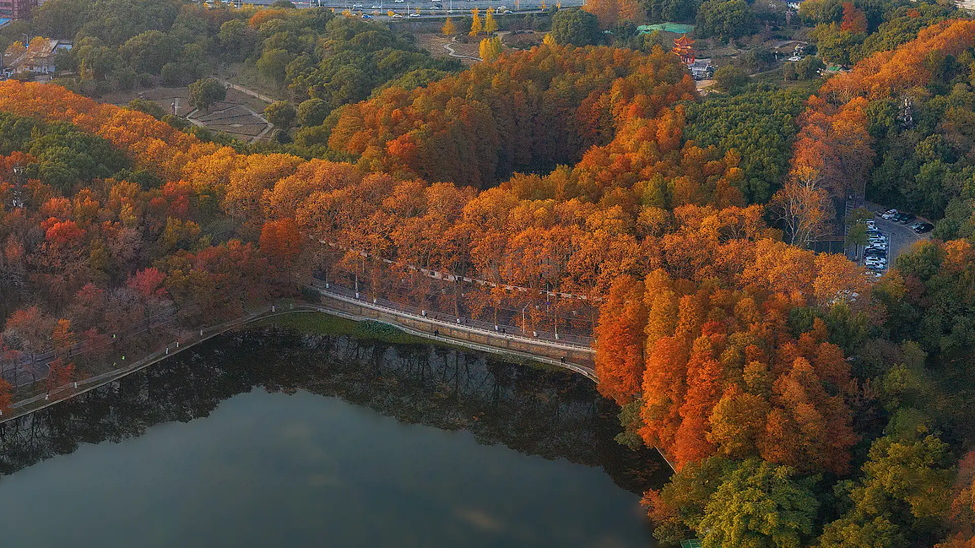 Hotels near Renmin Park