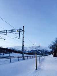 Aurora Experience Tour - Abisko