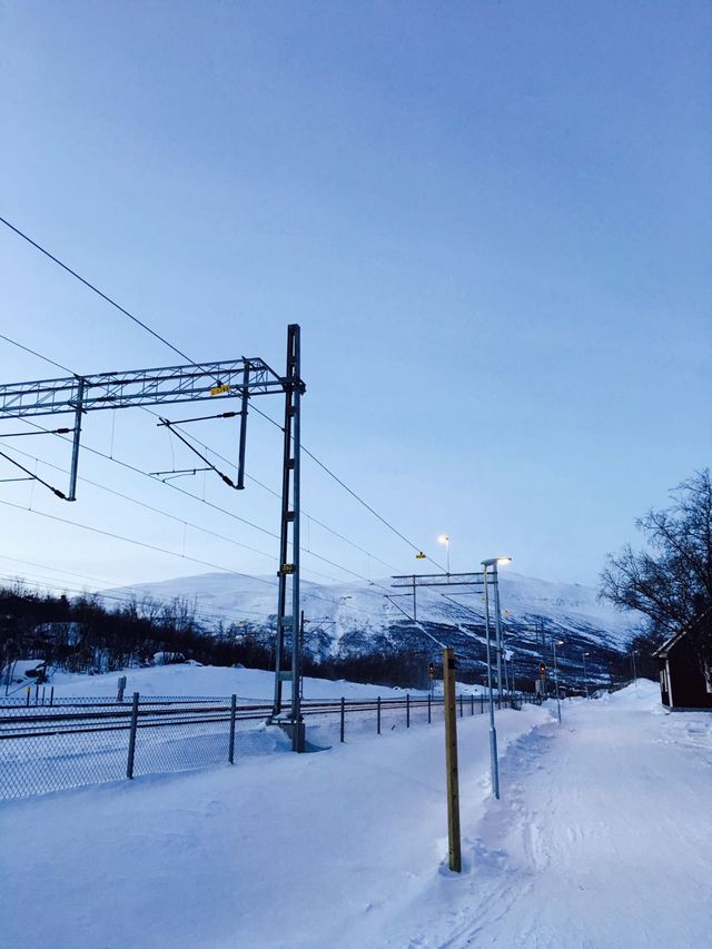 Aurora Experience Tour - Abisko