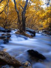 Luoding Longwan Ecological Tourism Area (Jiulong Waterfalls)