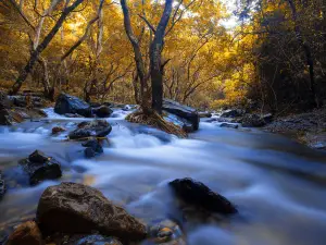 Luoding Longwan Ecological Tourism Area (Jiulong Waterfalls)