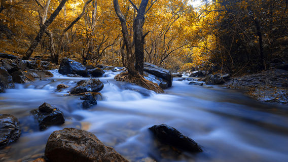 Luoding Longwan Ecological Tourism Area (Jiulong Waterfalls)