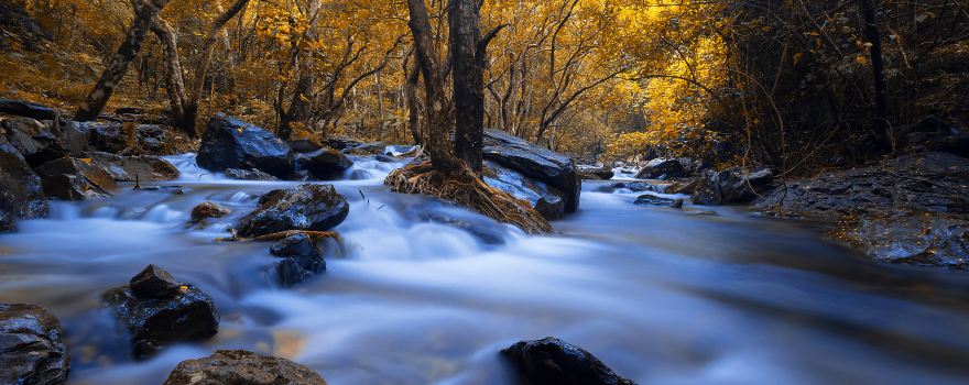 Luoding Longwan Ecological Tourism Area (Jiulong Waterfalls)
