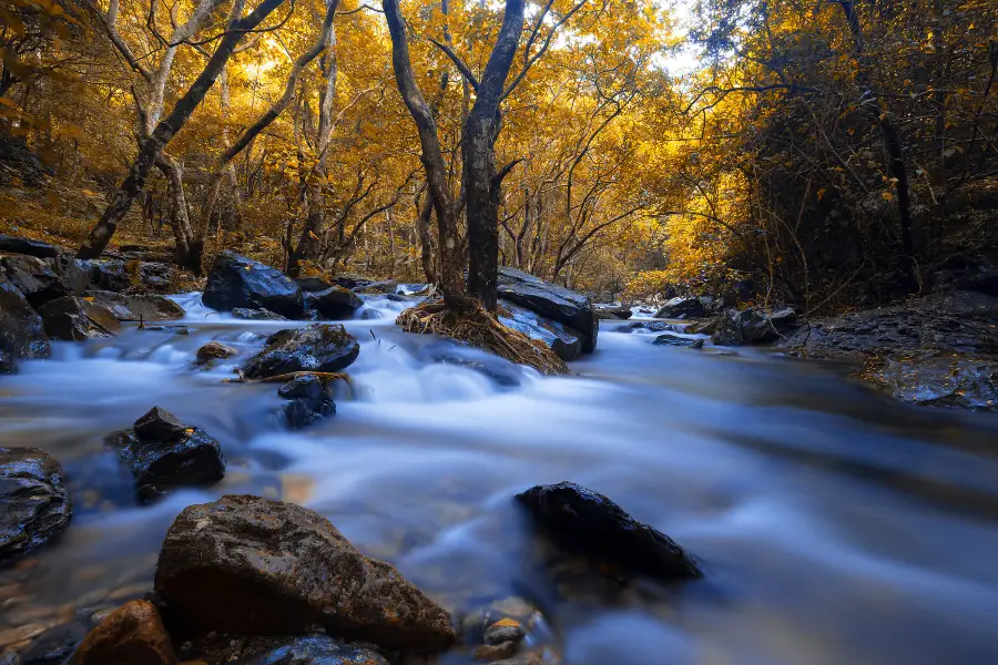 Luoding Longwan Ecological Tourism Area (Jiulong Waterfalls)