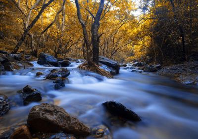 Luoding Longwan Ecological Tourism Area (Jiulong Waterfalls)