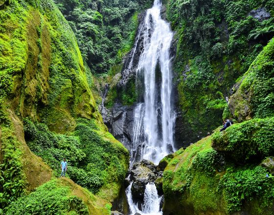 佔碑 自由行套票
